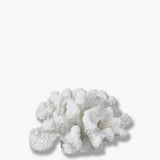 CORAL branches small, Mette Ditmer