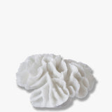 CORAL gills, Mette Ditmer