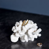 CORAL branches small, Mette Ditmer