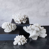 CORAL gills, Mette Ditmer
