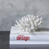 CORAL branches large, Mette Ditmer