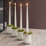 STAR ornaments in walnut, 3-pack, Mette Ditmer