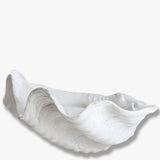 SHELL large, Mette Ditmer
