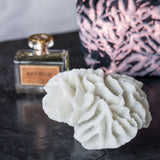 CORAL gills, Mette Ditmer