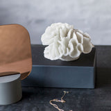 CORAL gills, Mette Ditmer