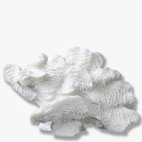CORAL large fan, Mette Ditmer