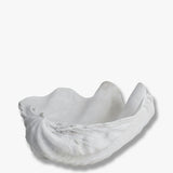 SHELL small, Mette Ditmer