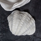 SHELL small, Mette Ditmer